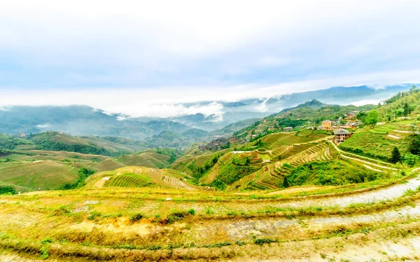 Тераси рисових полів по longesheng в Китаї — стокове фото