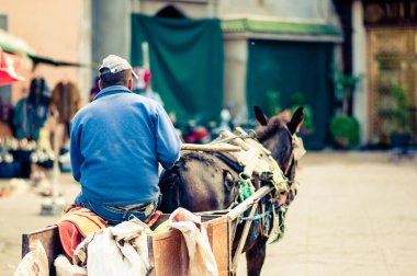 Fas Marakeş eşek arabası