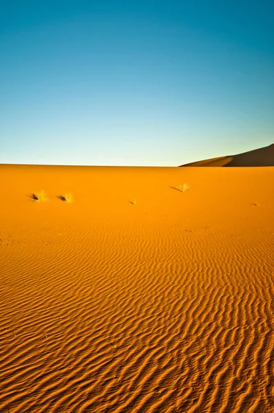 Sanddyner i Sahara öknen av Marocko — Stockfoto