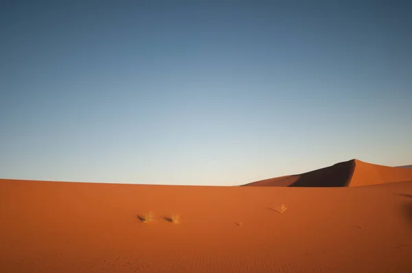 Sanddyner i Sahara öknen av Marocko — Stockfoto