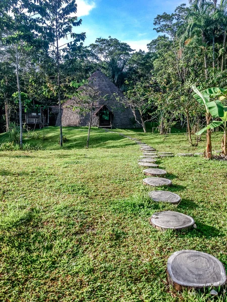 Jungle hut in het Braziliaanse regenwoud — Stockfoto