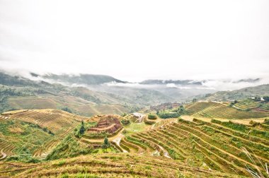 Longsheng Çin'in pirinç Teras