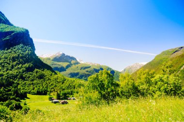 Tipik yeşil çayırlar ve Norveç'te dağ manzarası