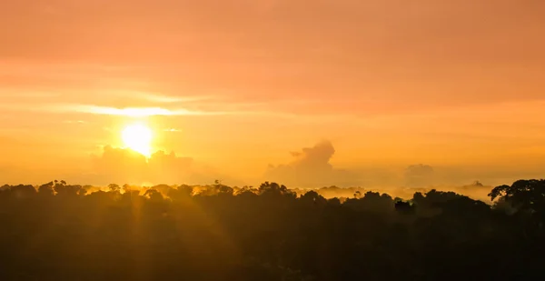 Sunset over rain forest by Amazon river in Brazil — Stock Photo, Image