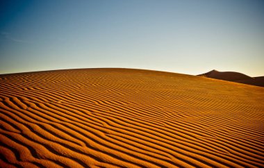 Fas'ta Sahara çöl dunes