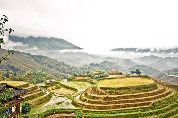 Рисові тераси Longsheng в Китаї — стокове фото