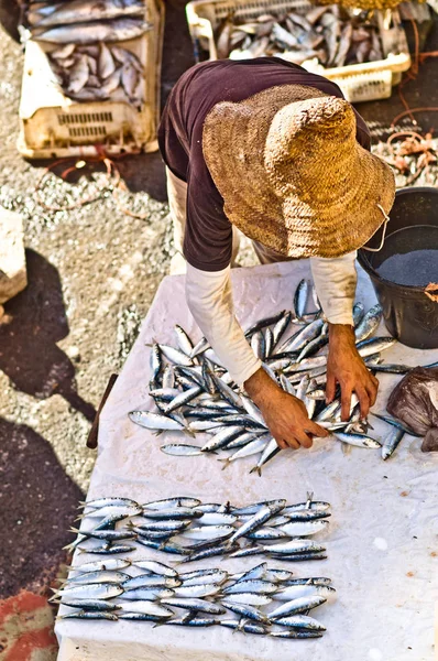 Essaouira Fas'ta taze balık pazarında — Stok fotoğraf