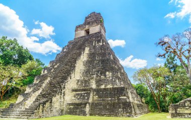 Guatemala Tikal Ulusal Parkı içinde Maya piramit