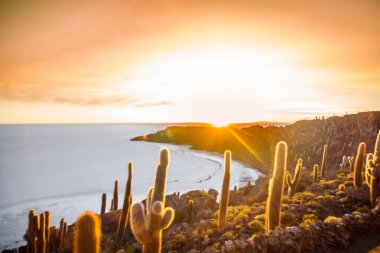 Günbatımı Uyuni Gölü Bolivya tarafından görülmektedir adada