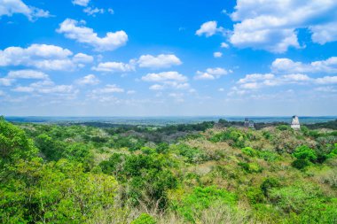 Yağmur ormanı ve Tikal Guatemala kalıntıları üzerinden panoramik görünüm