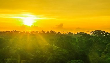 Günbatımı Brezilya yağmur ormanları ağaçlar üzerinde