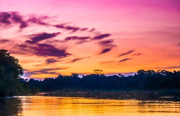 Purple sunset over Amazon river in the rainforest of Brazil — Stock Photo, Image