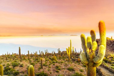 Sunrise Uyuni Tuz Gölü'nden ada Incahuasi Bolivya üzerinden
