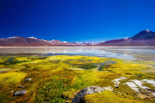 Lagoon Blanco amd mountain of the Andes in the Altiplano of Bolivia — Stock Photo, Image