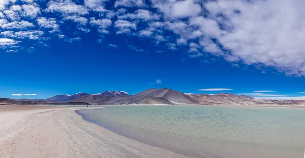 Lagün Salar talar de San Pedro de Atacama Şili'tarafından — Stok fotoğraf