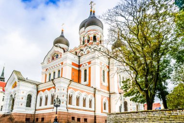 Alexander Newski Ortodoks katedrali Tallinn - Estonya
