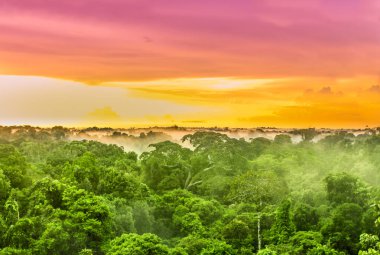 Pink sunset over the Amazon rain forest in Brazil clipart