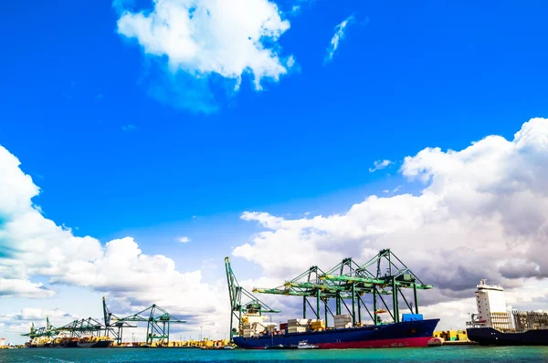 Grúas de carga y barcos en el puerto de Amberes — Foto de Stock