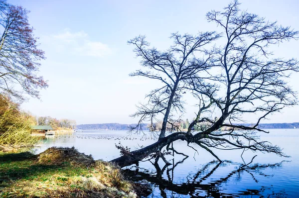 Høstlandskap ved innsjøen Starnberg - Bayern – stockfoto