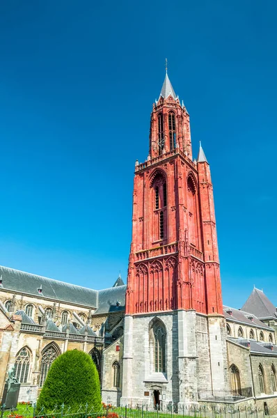 Röd klockstapel av kyrkan Sint Janskerk - St. Johns Church - i Maastricht — Stockfoto