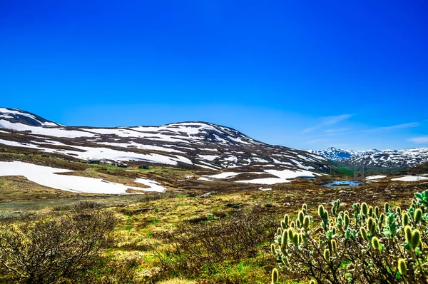 Paysage montagneux en été de Norvège — Photo