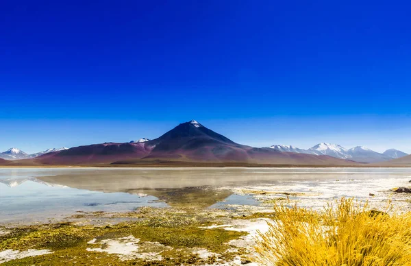Laguna Blanca no Altiplano da Bolívia — Fotografia de Stock