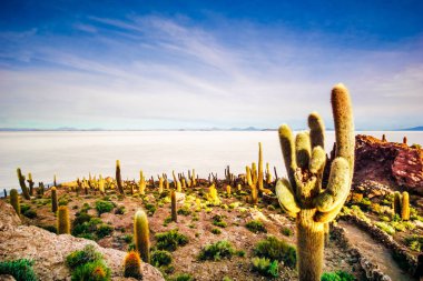 Tuz Gölü Uyuni Bolivya tarafından ada görülmektedir