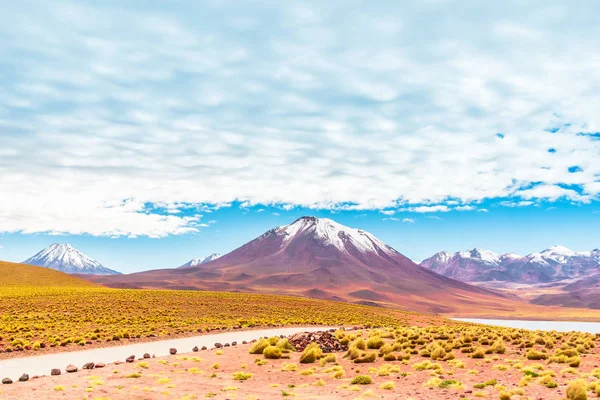 चिली के Altiplano में Lagoon Miscanti और ज्वालामुखी Licancabur — स्टॉक फ़ोटो, इमेज