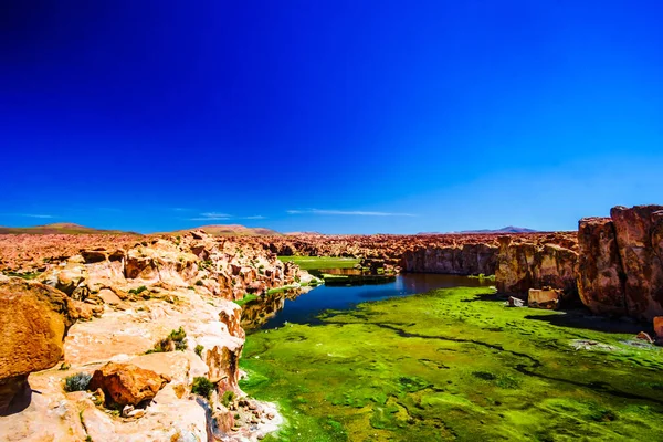 Laguna Negra en Altiplano de Bolivia —  Fotos de Stock