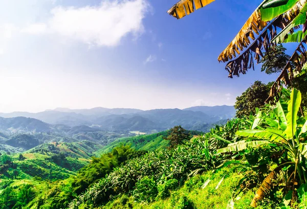 Paisaje de montaña por Chiang Rai - Tailandia — Foto de Stock