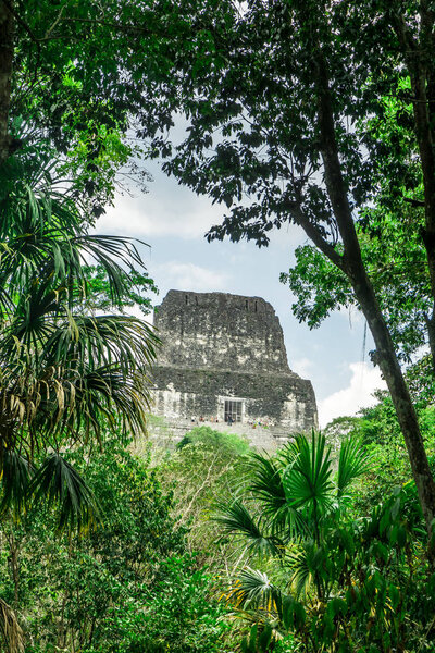 Pyramid in the jungle by Tikal - Guatemala