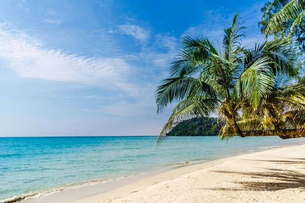 Playa de palmeras tropicales en la isla de Koh Kood - Tailandia — Foto de Stock