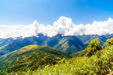 Yungas Coroico - Bolivya tarafından dağ manzarası