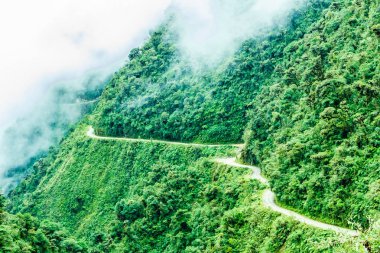 Bolivya Yungas ölüm yolda