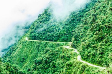 Death road in the Yungas in Bolivia clipart