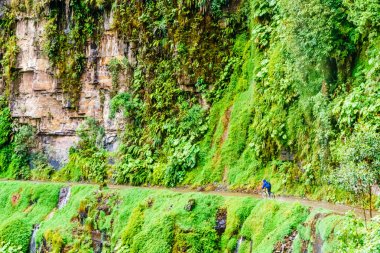Bisikletçi Bolivya Yungas ölüm yolda