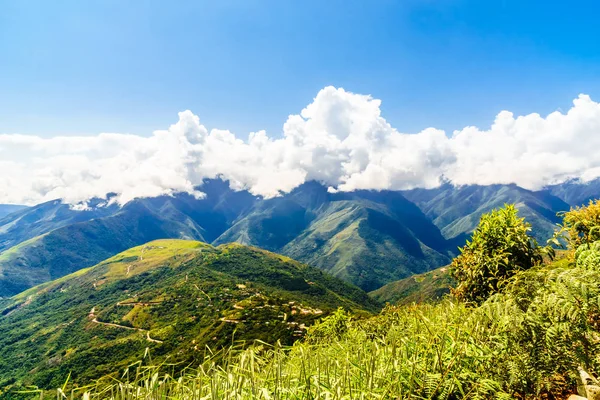 Paysage montagneux dans les Yungas par Coroico - Bolivie — Photo
