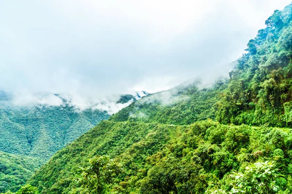 Route de la mort dans les Yungas en Bolivie — Photo