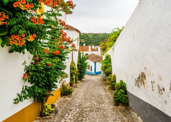 View on Narrow White Blue Street in Mediieval City Obidos Portugal — Stock Photo, Image