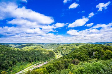 Frankonia Almanya 'da Yaz Ormanı