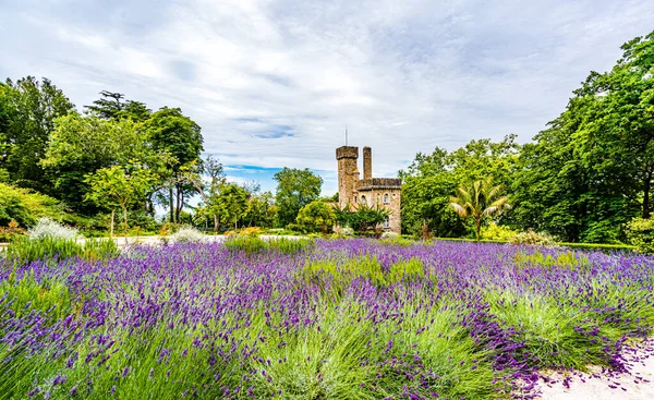 Hrad Parku Quinta Regaleira Kvetoucí Levandulí Portugalské Sintra — Stock fotografie