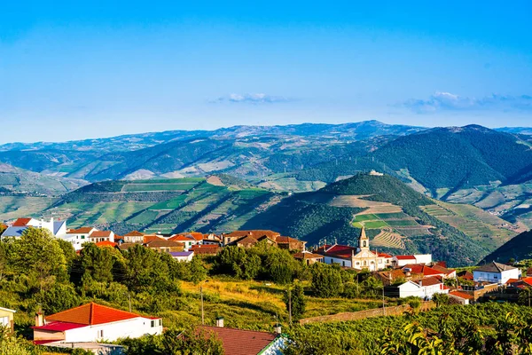 Vignoble Dans Village Provesende Dans Région Vallée Douro Portugal — Photo