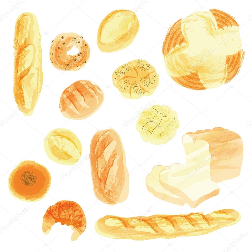 breads illustrarion drawn with transparent watercolor paint