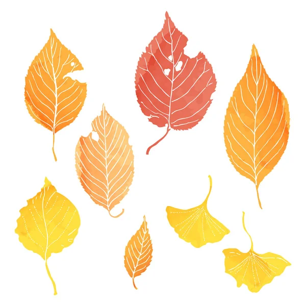Herbst Blätter Illustrationen von Aquarellfarbe — Stockvektor