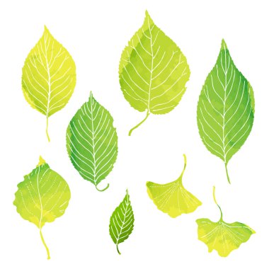 Yeşil illüstrasyonlar tarafından suluboya boya bırakır.