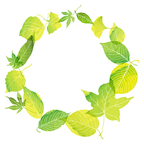 Kreis Rahmen aus grünen Blättern — Stockvektor