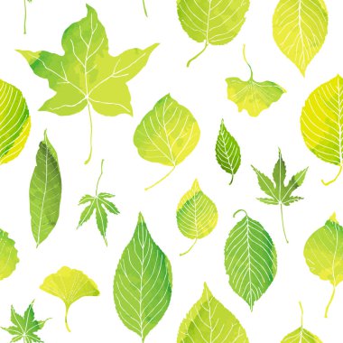 Yeşil yaprakların kusursuz deseni
