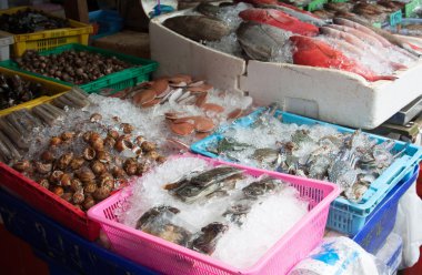 Tayland 'da balık pazarı