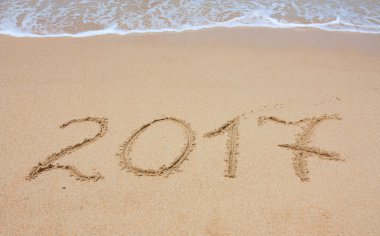 Yeni yıl 2017