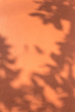 ağaç gölge ve turuncu duvar boya doku arka plan 